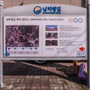 여천동 주민센터 앞 이미지