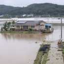 양지 배수장 국민일보