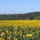 부산공인중개사사무소 이미지