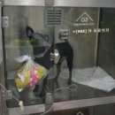 해동물병원 이미지