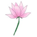 리드믹무용 이미지