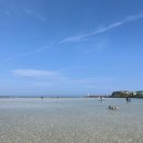 표선리-31 이미지