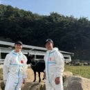 한솔 흑염소 이미지