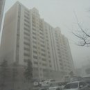 상동2천 이미지