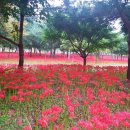 CU 서산읍내점 이미지