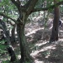 (주)산동개발 이미지