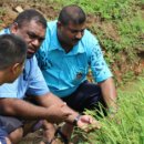 그레이스팜 이미지