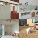 스테이 사선 이미지