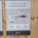 화명독일보청기 이미지