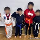 용인대 한신태권도장 이미지