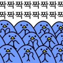 태극안경콘택트(비래점) 네이버블로그