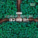 주식회사 으뜸자동차 이미지