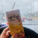 2021.03.01~04 주4일제는 즐거워