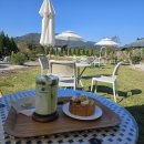 산청군농협신안점하나로마 | 경남 산청 여행 인센티브 지원사업 신청 후기 ｜산청사랑상품권 10만원 수령 모바일 제로페이