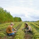 라이프 감정 코칭 이미지