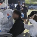 울산자동차검사소 이미지