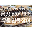 유동장어 이미지