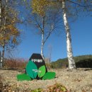 임계면지소 이미지