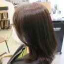 모더니컬 이미지