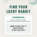 럭키래빗