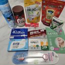 명지돌고래 365약국 | 명지연중무휴 &#34;명지돌고래365약국&#34; 부산연중무휴약국