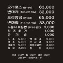 황금오리 이미지