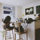 cafe(카페)쉼