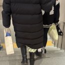 수인래쉬 이미지
