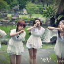 비디오랜드 이미지