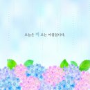 아침공인중개사사무소 이미지