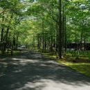 숲속골프 이미지