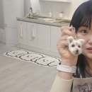 멍스가든 | [설루의 장단점 리얼후기]안양 양모펠트 공방 까망콕 반려동물 강아지키링 만들기 체험 내돈내산 후기