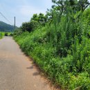 서해토지공인중개사사무소 이미지