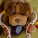 강아지나라동물병원 이미지