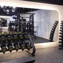 타이탄 짐 이미지