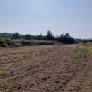 찬스(chance)공인중개사사무소 이미지