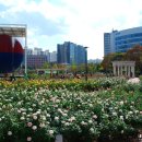 꽃향기 머무는 곳 이미지