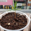 문빌딩공인중개사사무소 이미지