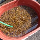 서울농약종묘사 이미지