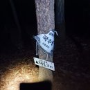 이마트24 세종미래산단점