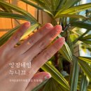 양지-3301 | 양정네일 재방문 부르는 누니끄 봄맞이 글리터네일