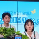 용암리 지석묘군 네이버블로그
