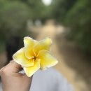 성전농장 | 파타야 악어농장 - 백만년 바위 공원과 악어 농장