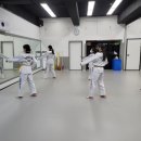 용인대 한신 태권도 이미지