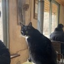 긴물스테이 이미지