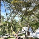 백동농장 이미지