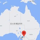 모닝플러스 이미지