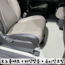 위그라픽스 | 카니발 모노륨매트 바닥 ,바닥방음,그라픽스케미컬4종 유리막코팅 패키지 시공 후기 / 인천올댓