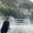 월드라이프