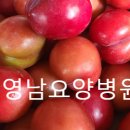 여름철 자두 이미지